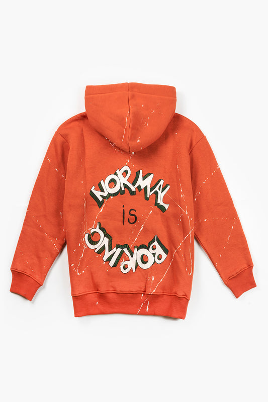 Look Project - Normal Is Boring Ginger